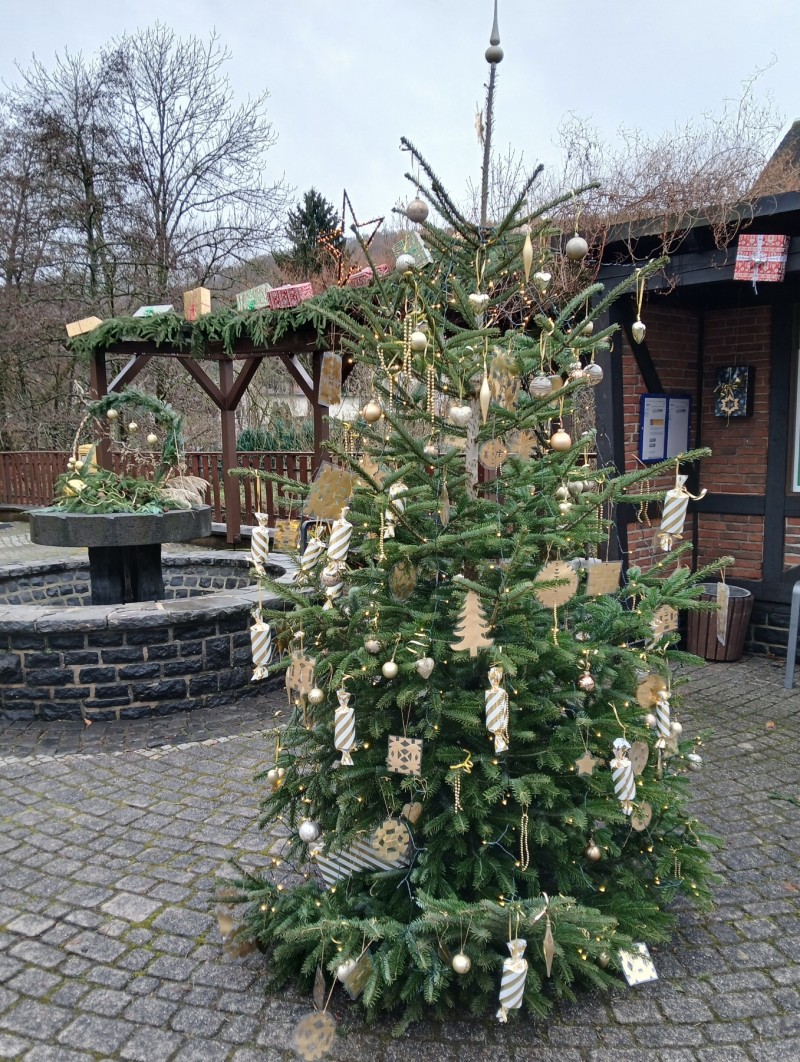 20251129 143933 resized